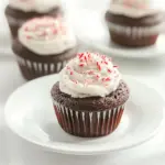 Chocolate Cupcakes with Peppermint Icing