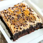 Chocolate Gingerbread Toffee Cake