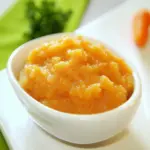 Spiced Carrot and Rice Puree