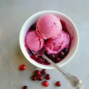 Cranberry Sorbet
