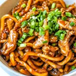 Hoisin Chicken Udon Noodles