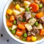 Instant Pot Beef and Vegetable Soup